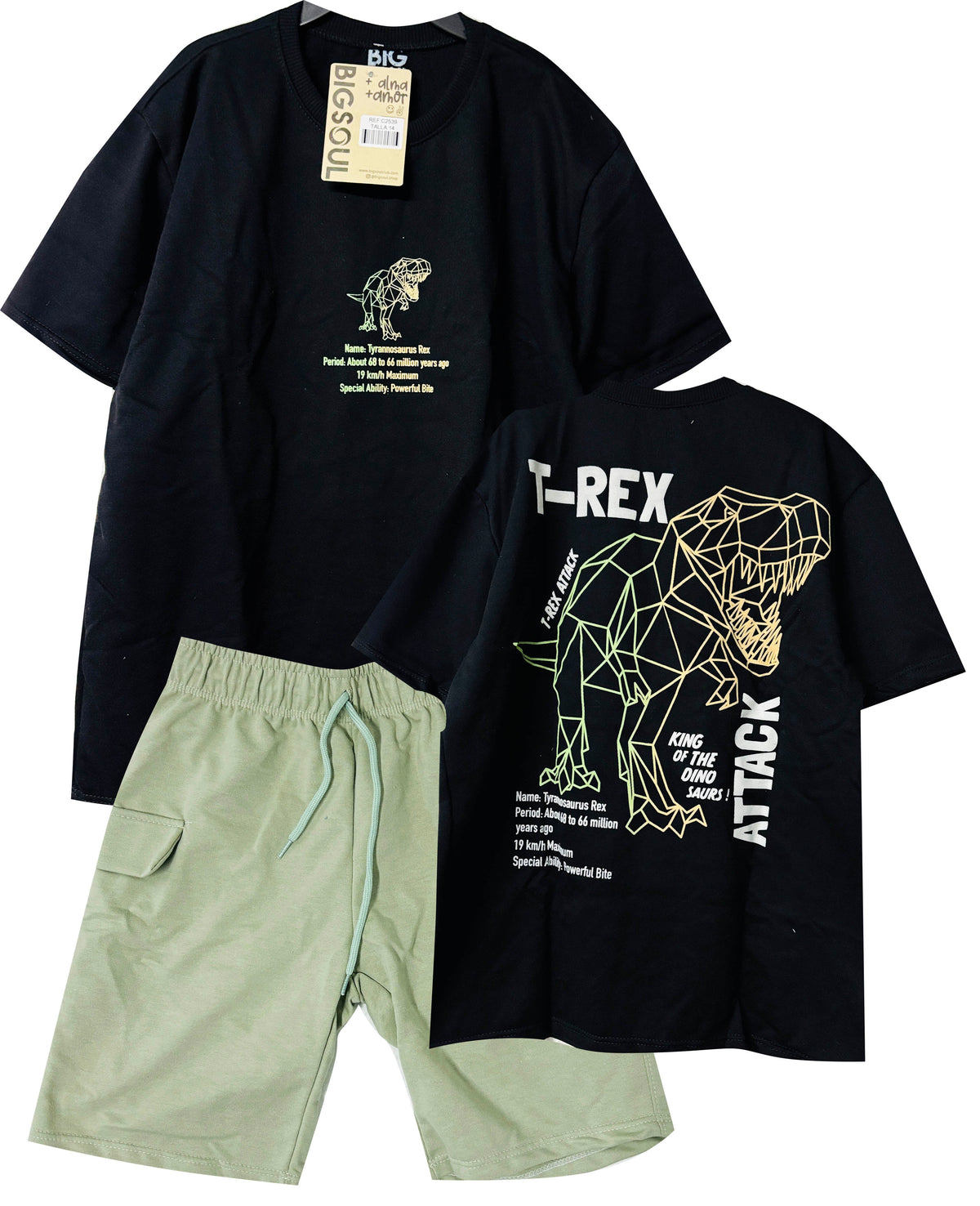 C2539 CONJUNTO  CAMISETA  OVER SIZE NEGRO/ BERMUDA VERDE PASTEL