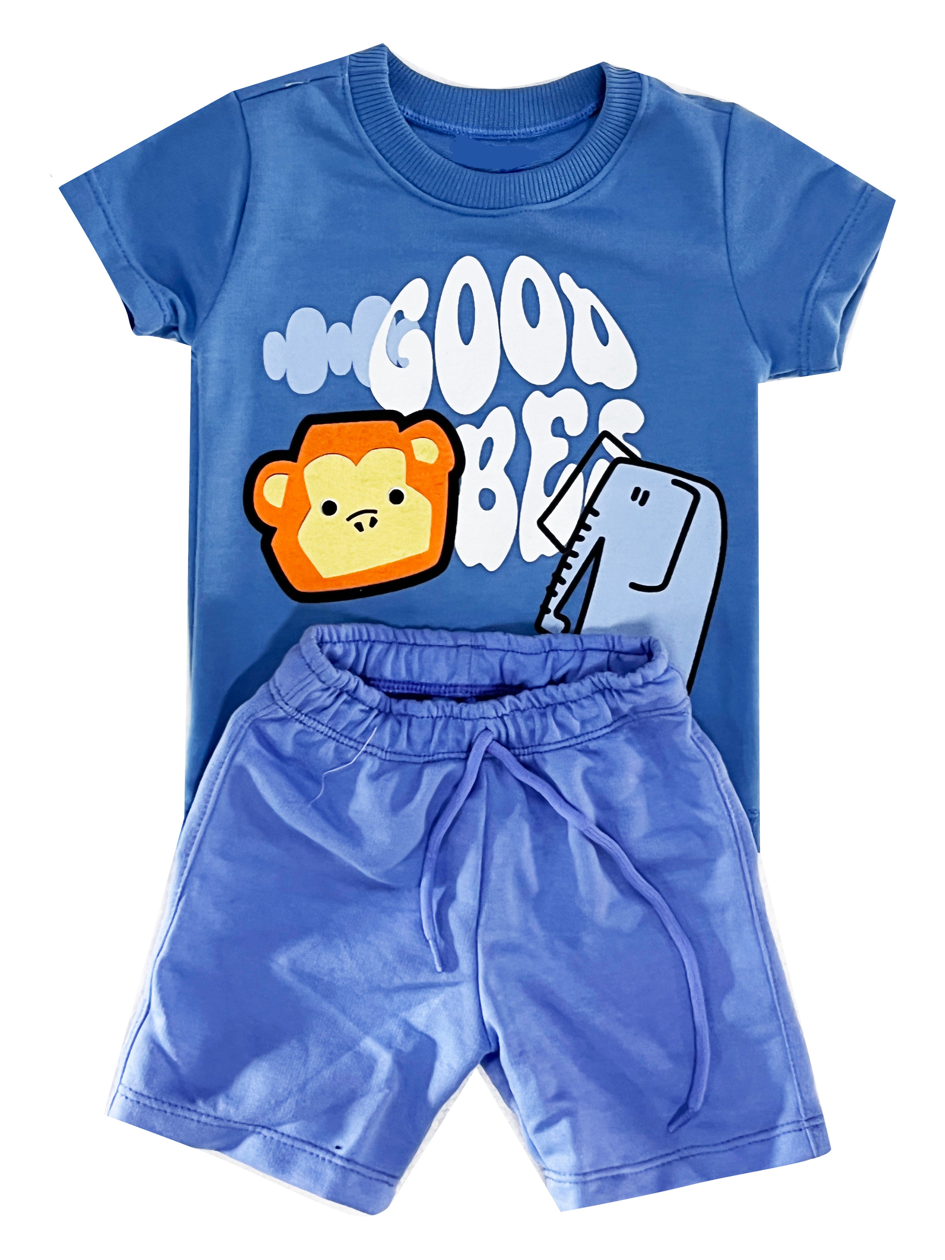 CONJUNTO BEBE CAMISETA HORTENCIA   BURDA LIVIANA /BERMUDA HORTENCIA