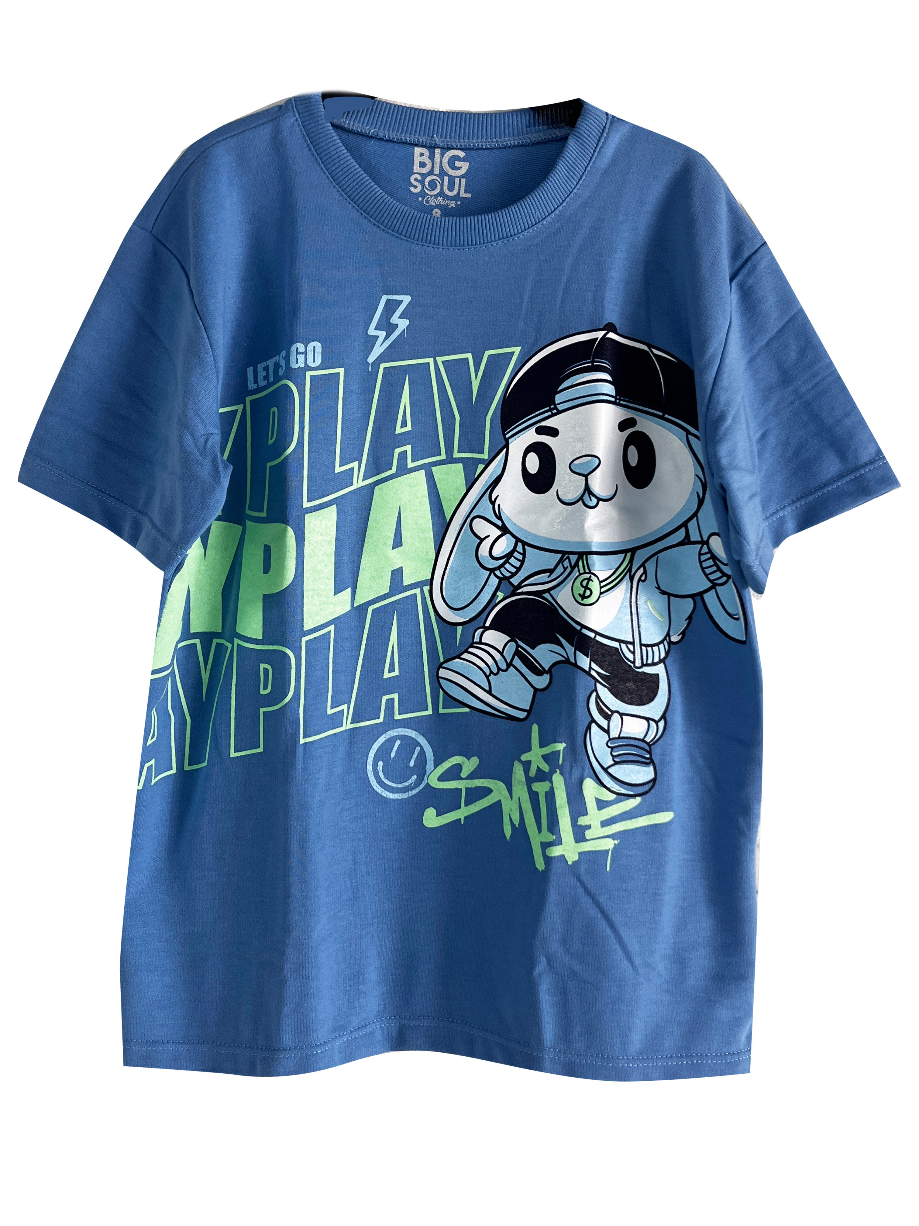OV1929  CAMISETA OVER SIZE AZUL HORTENCIA
